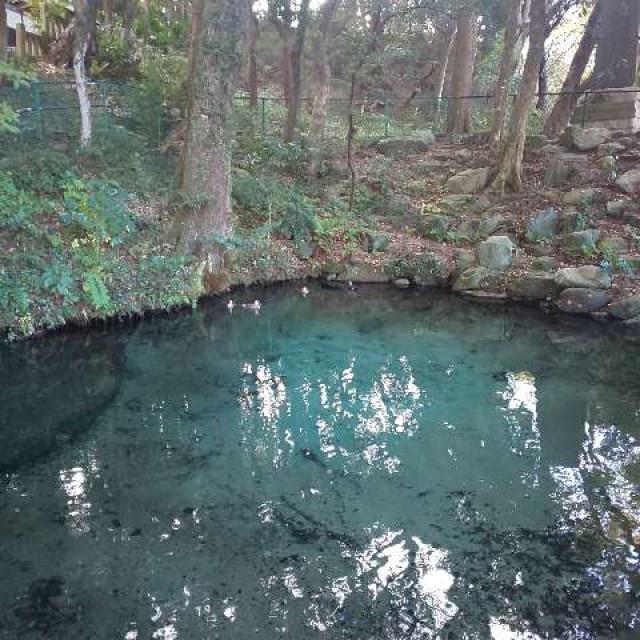 茨城県日立市水木町2-22-1 泉神社の写真6