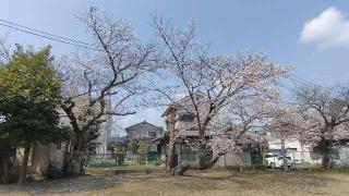 鷲神社の参拝記録(りんごぐみさん)