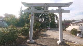 大杉神社の参拝記録(のりさん)