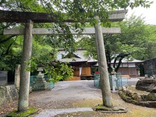 日枝神社の参拝記録(さくらもちさん)