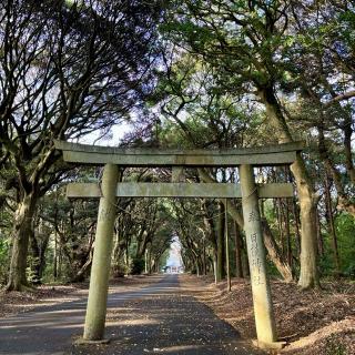日枝神社の参拝記録(のぶさん)