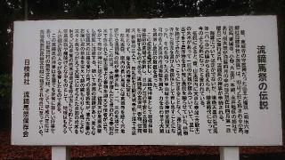 日枝神社の参拝記録(のりさん)