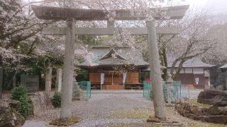 日枝神社の参拝記録(のりさん)