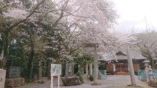 日枝神社の参拝記録(のりさん)