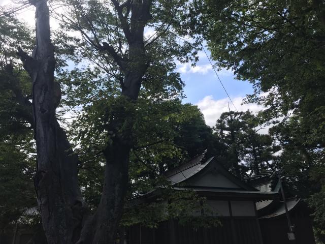 虫掛神社の参拝記録2