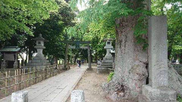茨城県古河市宮前町4番地52 雀神社の写真5