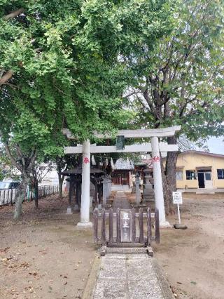 八幡神社（古河市本町）の参拝記録(さとみさん)