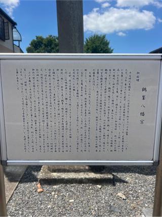 鶴峯八幡宮の参拝記録(⛩️🐍🐢まめ🐢🐍⛩️さん)