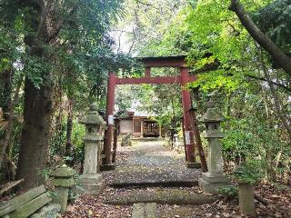 頼政神社の参拝記録(さとみさん)