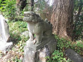 頼政神社の参拝記録(さとみさん)