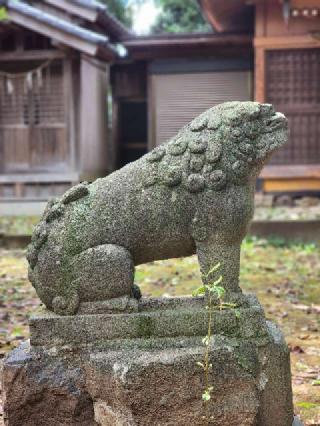 頼政神社の参拝記録(たけちゃ～ん⚾さん)