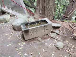 染谷佐志能神社の参拝記録(飛成さん)