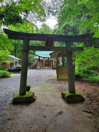 足尾神社の参拝記録(ヨッシーさん)