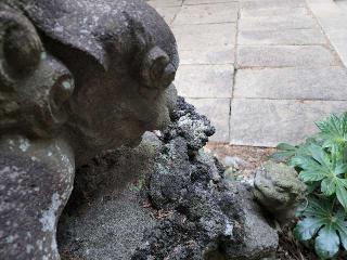 神明神社の参拝記録(たけちゃ～ん⚾さん)