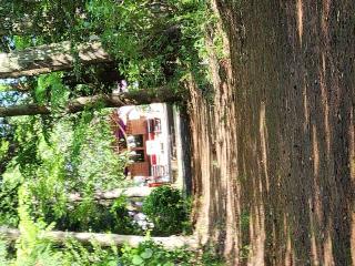 諏訪神社（結城諏訪神社）の参拝記録(えすくんさん)