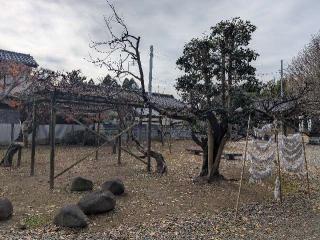 女化神社の参拝記録(おがおが1262さん)