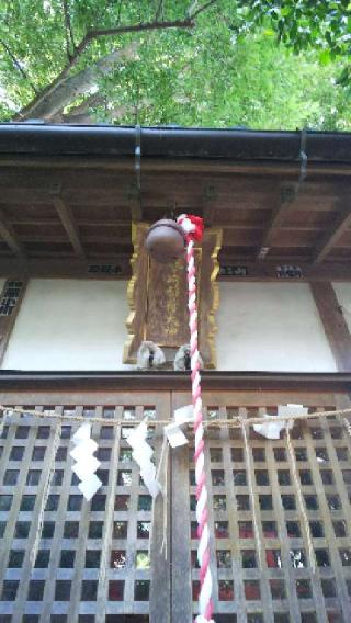 八坂神社の参拝記録(のむたんさん)