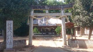 八坂神社の参拝記録(のりさん)