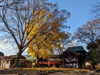 水海道八幡神社の参拝記録(おがおが1262さん)