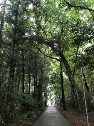 桑原神社の参拝記録(Mieさん)