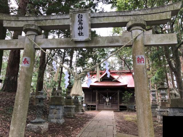 茨城県常陸太田市瑞龍町507番地 白鷺神社の写真2
