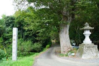 稲村神社の参拝記録(thonglor17さん)