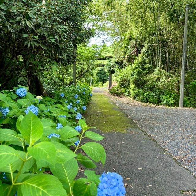 稲村神社の参拝記録3
