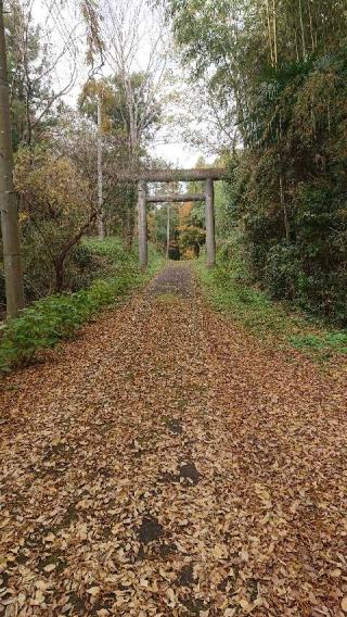 稲村神社の参拝記録(まっくさん)