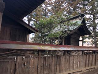 河合神社の参拝記録(みつをさん)