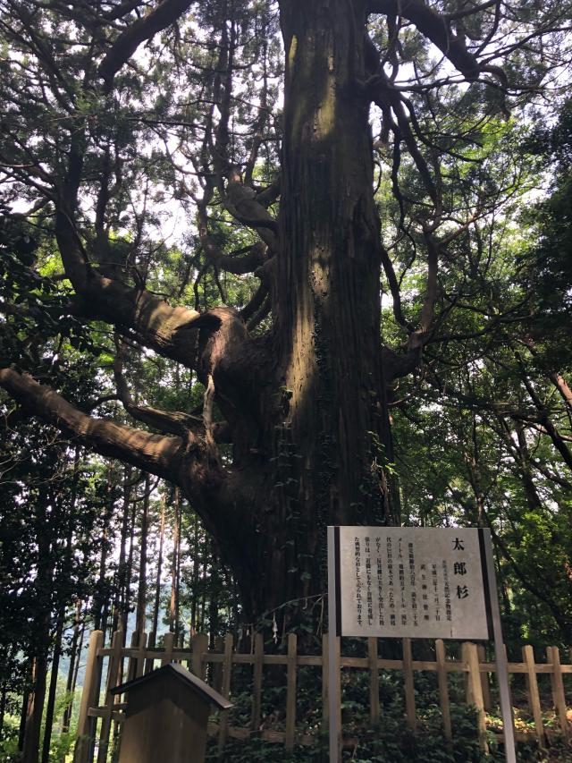 茨城県常陸太田市下高倉町2268番地 武生神社の写真6