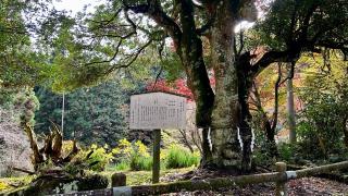 東金砂神社の参拝記録(金猿さん)