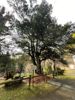 東金砂神社の参拝記録(なっちゃんさん)