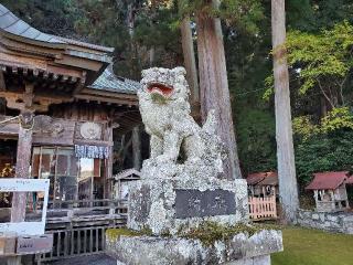 大中神社の参拝記録(飛成さん)