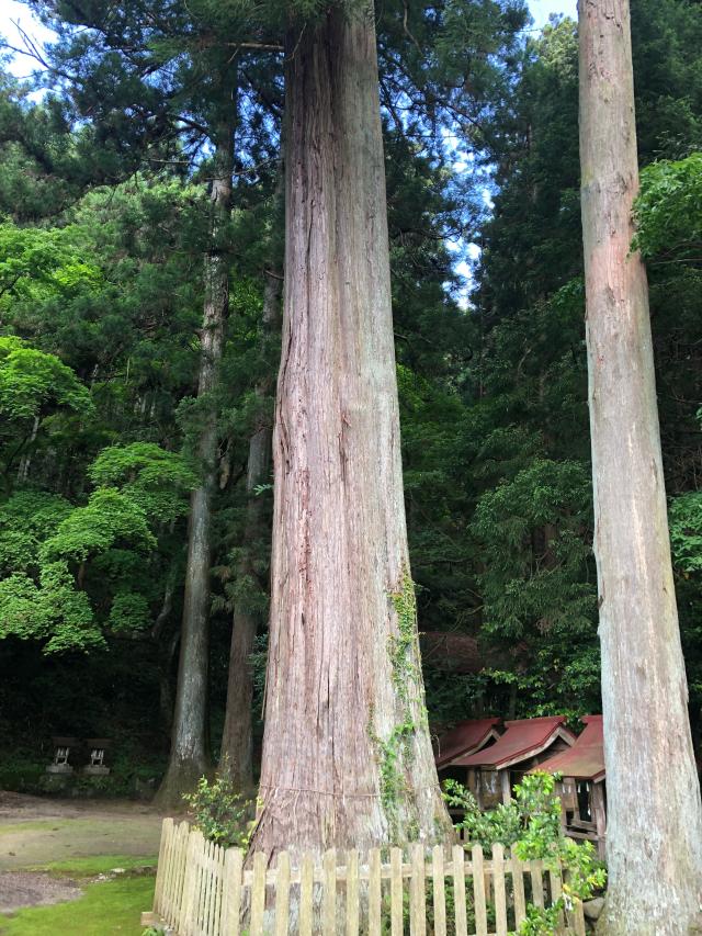 茨城県常陸太田市大中町1706番地 大中神社の写真6