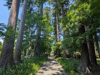 高萩八幡宮（安良川八幡宮）の参拝記録(おがおが1262さん)