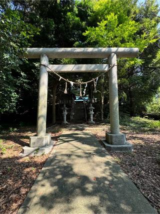 瀧神社の参拝記録(こーちんさん)