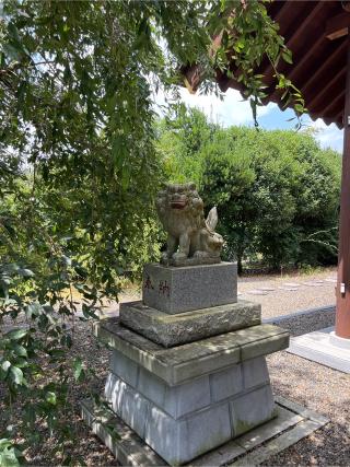 國魂神社（神道祖霊社）の参拝記録(⛩️🐍🐢まめ🐢🐍⛩️さん)