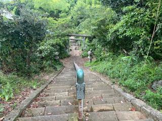 佐波波地祇神社の参拝記録(ししむさん)