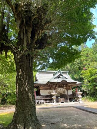 神岡稲荷神社の参拝記録(ギャズさん)