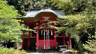 花園神社の参拝記録(金猿さん)