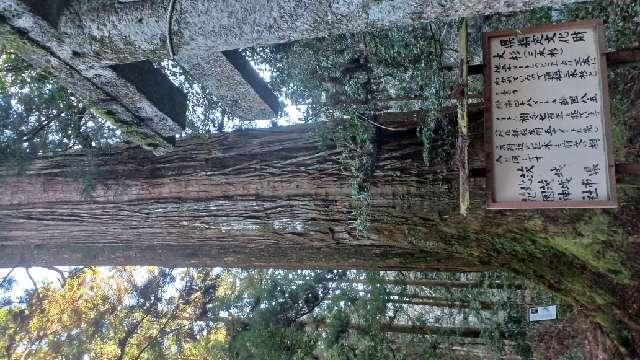 茨城県北茨城市華川町花園567番地 花園神社の写真14
