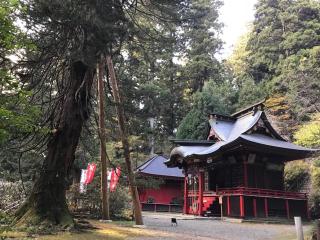 花園神社の参拝記録(水戸のミツルさん)