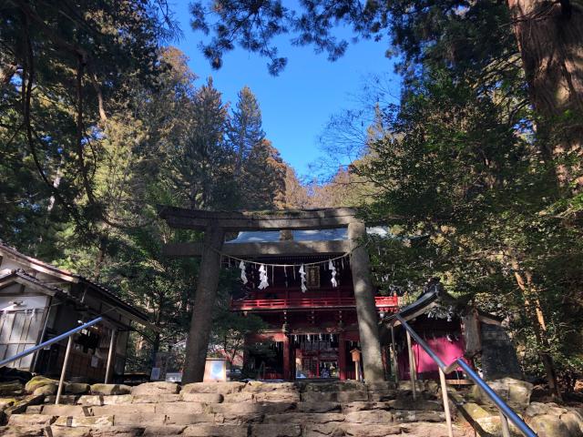 花園神社の参拝記録5