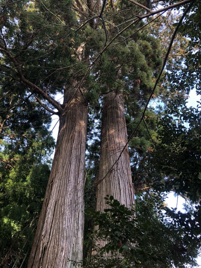 茨城県笠間市上郷3161-1 羽梨山神社の写真3