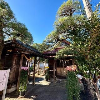 城山稲荷神社の参拝記録(のぶさん)