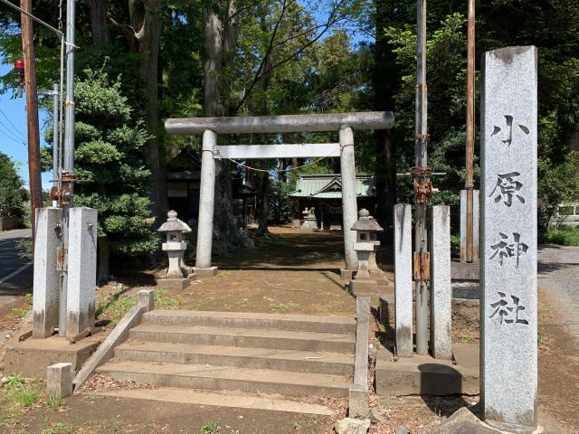 茨城県笠間市小原2234番地 小原神社の写真2