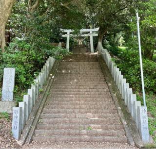 愛宕神社の参拝記録(のぶさん)