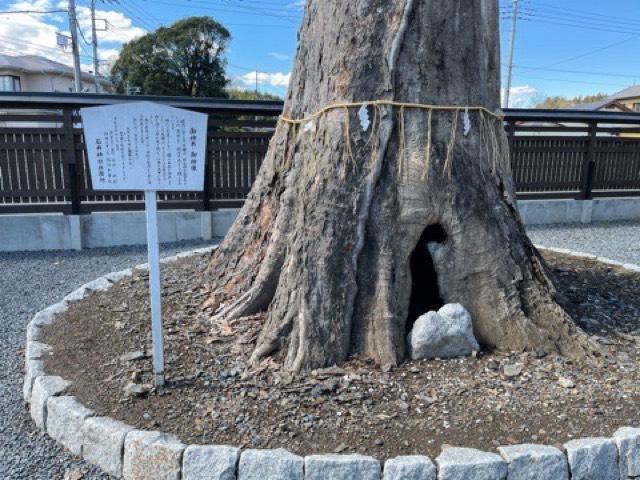 茨城県笠間市石井1074番地 石井神社の写真5