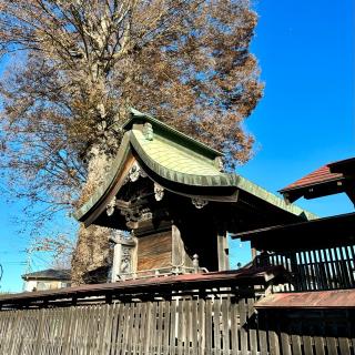 石井神社の参拝記録(のぶさん)
