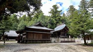 稲田神社の参拝記録(金猿さん)